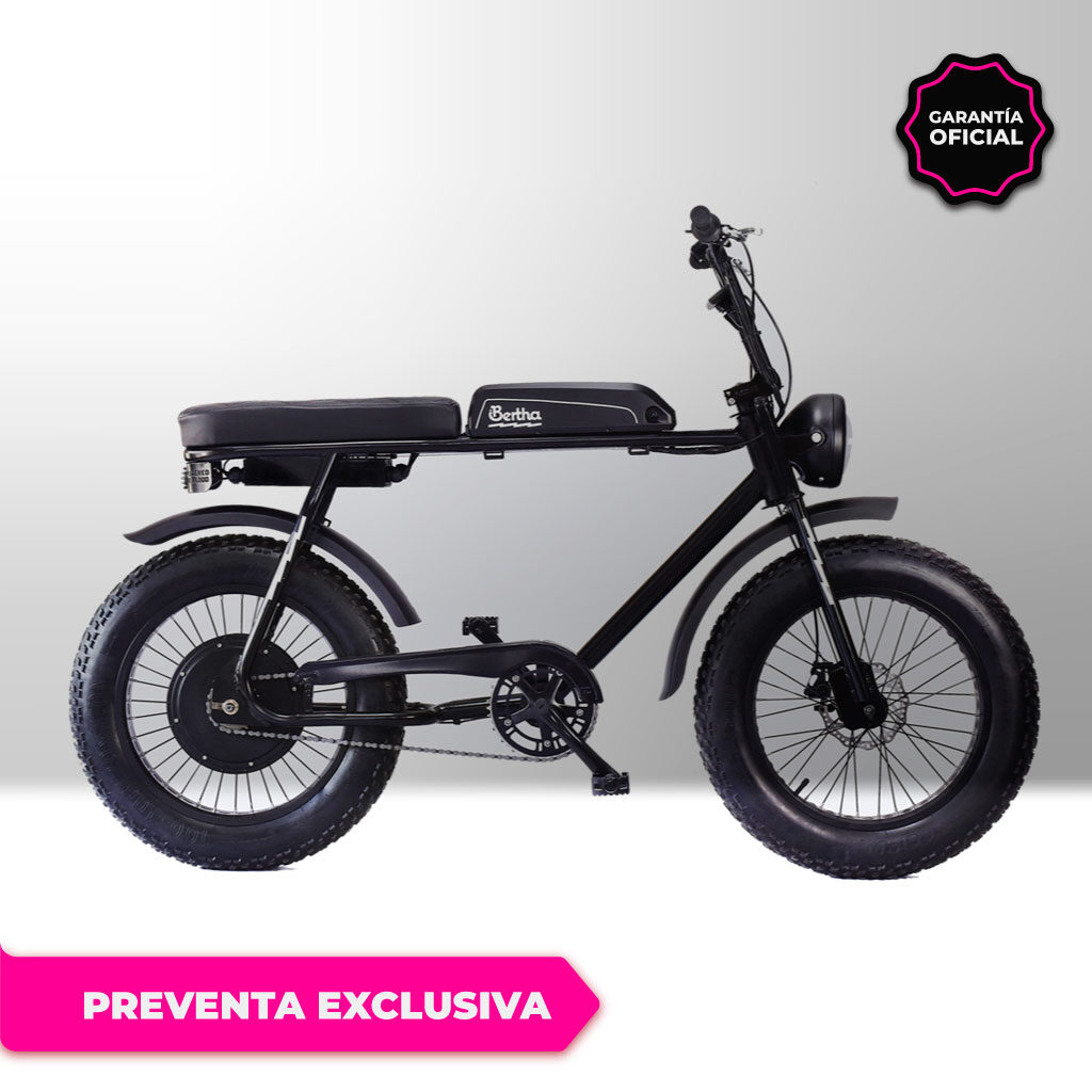 BICICLETA ELECTRICA BERTHA STREET BUENOS AIRES ECO ALSINA